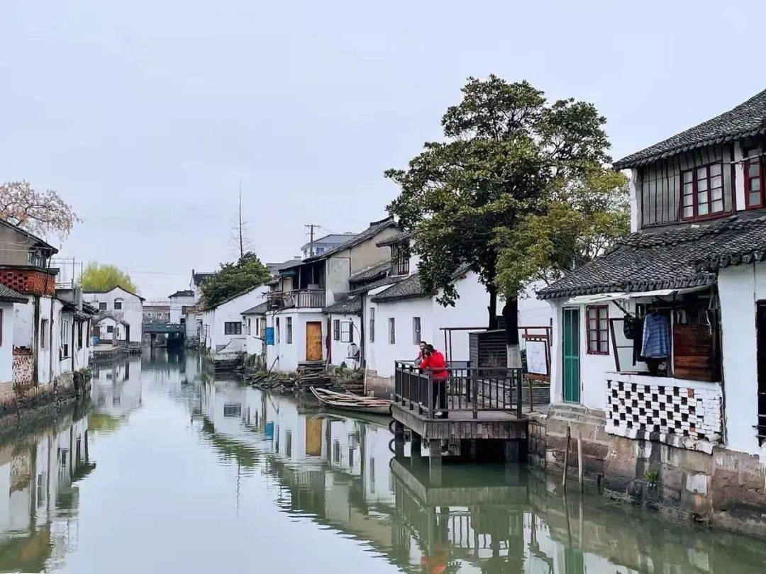 麦家称《人生海海》是他与父亲和解的书,是不是每一个男孩都与父亲有隔阂?-专业有问必答平台